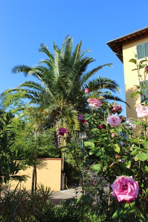 Albergo La Pieve กาสเตลฟิโอเรนทิโน ภายนอก รูปภาพ